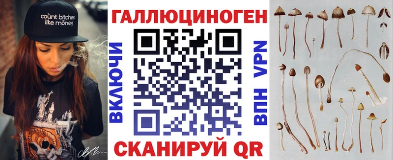 как найти   Мыски  Галлюциногенные грибы MAGIC MUSHROOMS 